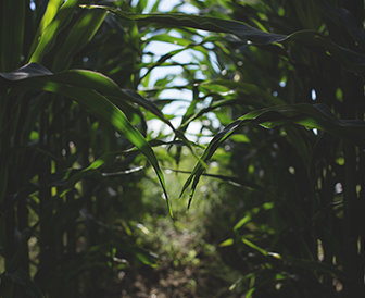 סיורים מרתקים למבוגרים